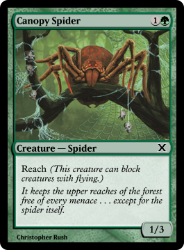Canopy Spider