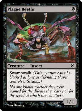 Plague Beetle