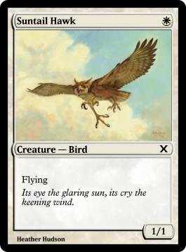 Suntail Hawk