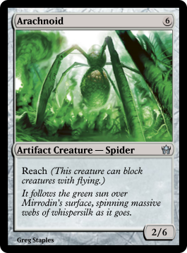 Arachnoid