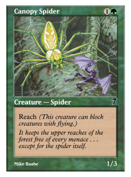 Canopy Spider
