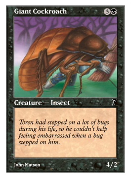 Giant Cockroach