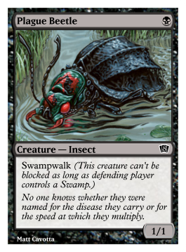 Plague Beetle