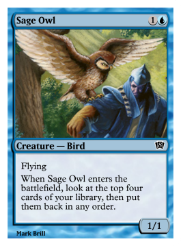 Sage Owl