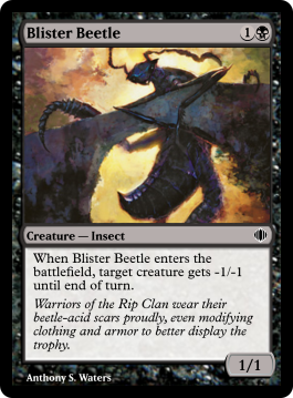 Blister Beetle