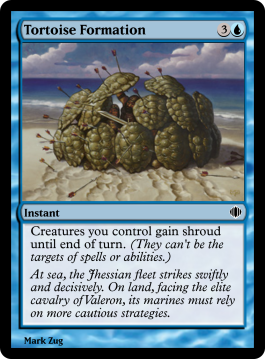 Tortoise Formation