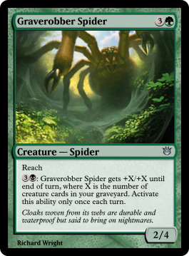 Graverobber Spider