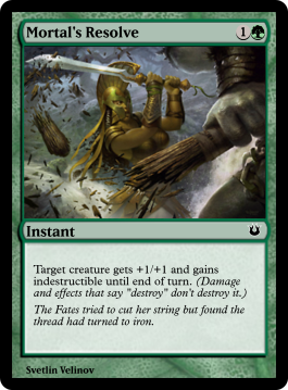 Mortal's Resolve