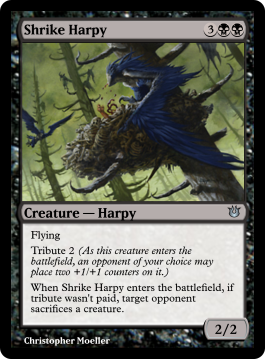 Shrike Harpy