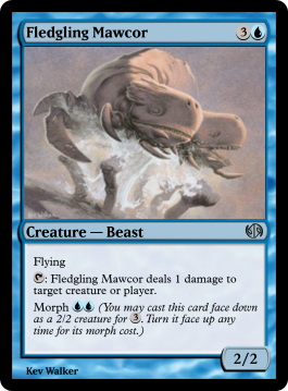 Fledgling Mawcor