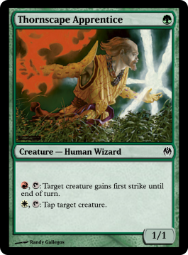 Thornscape Apprentice