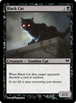Black Cat