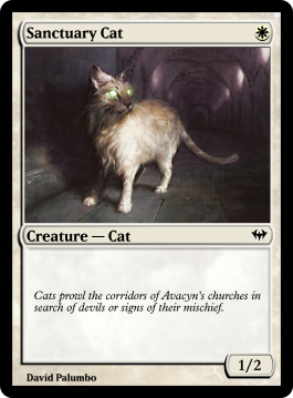 Sanctuary Cat
