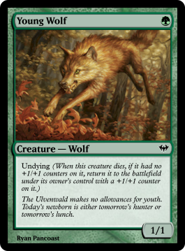 Young Wolf
