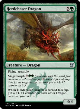 Herdchaser Dragon