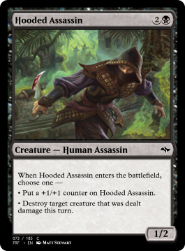 Hooded Assassin