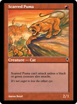 Scarred Puma