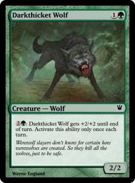 Darkthicket Wolf