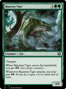Riparian Tiger