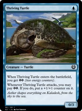 Thriving Turtle