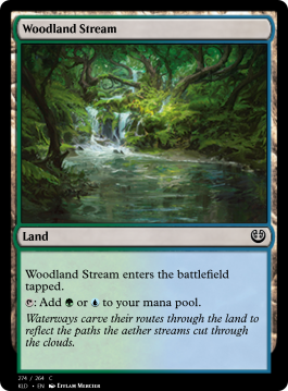 Woodland Stream