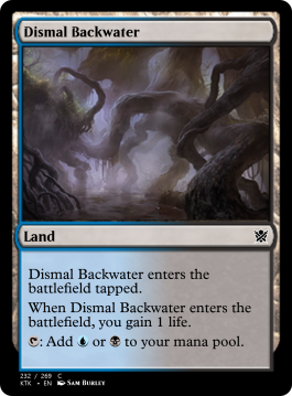 Dismal Backwater