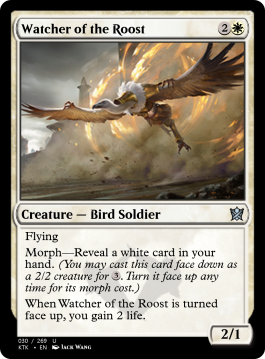 Watcher of the Roost