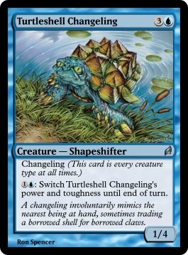 Turtleshell Changeling