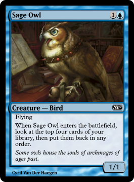 Sage Owl