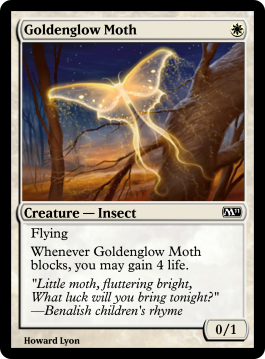 Goldenglow Moth