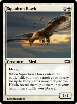 Squadron Hawk