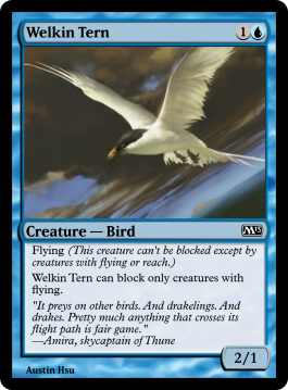 Welkin Tern