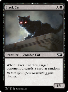 Black Cat