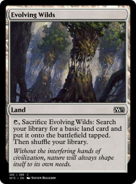 Evolving Wilds