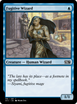 Fugitive Wizard