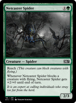 Netcaster Spider