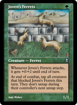 Joven's Ferrets