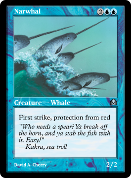 Narwhal