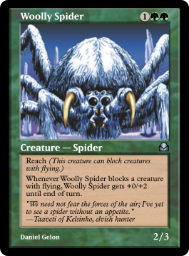 Woolly Spider