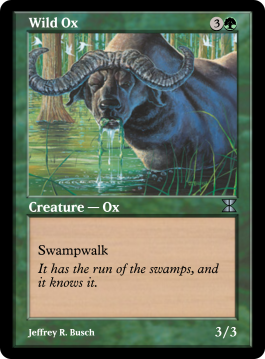 Wild Ox