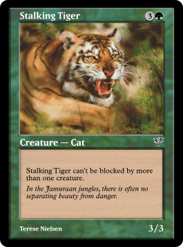 Stalking Tiger