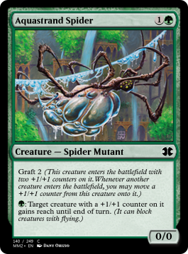 Aquastrand Spider