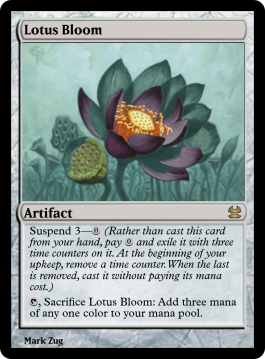 Lotus Bloom
