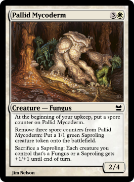 Pallid Mycoderm