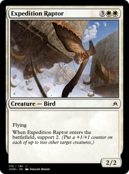 Expedition Raptor