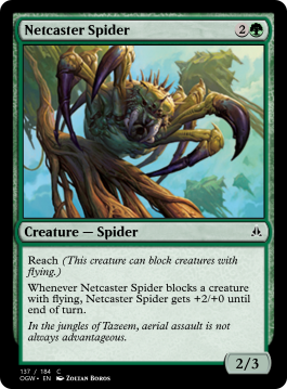 Netcaster Spider