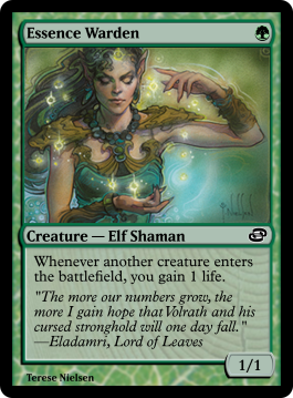 Essence Warden