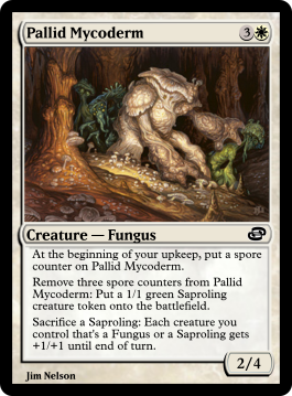 Pallid Mycoderm