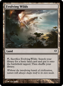 Evolving Wilds