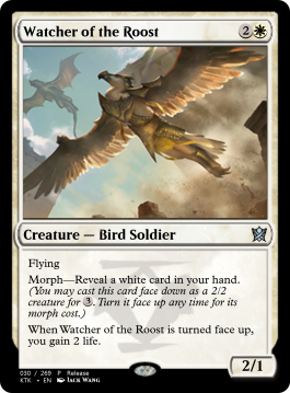 Watcher of the Roost